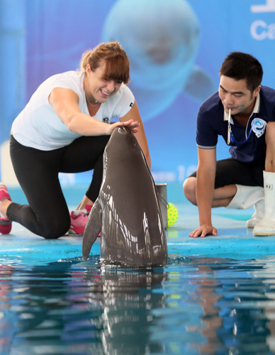 以今年联赛 以今年联赛