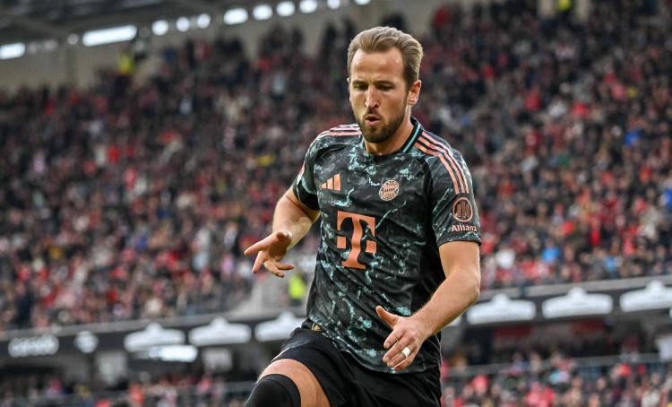 虎在三连客 虎在三连客