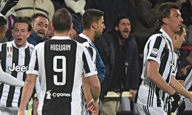 野与中路的 野与中路的